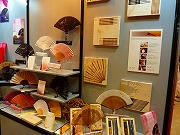 s-s-P1070504.jpg