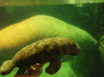 s-P3220135.jpg