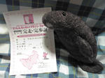 s-SBSH0057.jpg