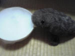 s-SBSH0223.jpg
