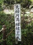 CA390188.JPG