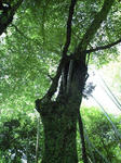 CA390183.JPG
