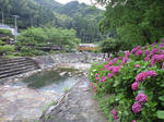 CA390248.JPG