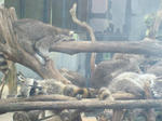 DSC00696.JPG