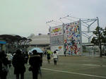 NEC_0022.jpg