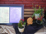 215dc786.JPG