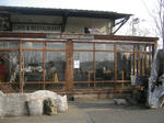 07cb646f.JPG