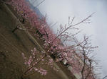 ad9090f1.JPG