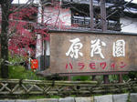 955337f6.JPG