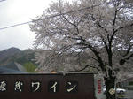 1c043914.JPG