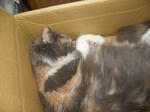 f70f7e29.JPG