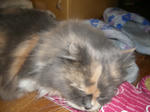 IMGP9122.JPG