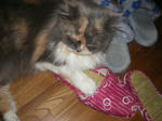 IMGP9123.JPG