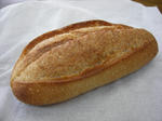 c504646f.JPG