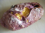 477dcfb7.JPG