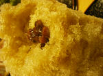 f740034f.JPG