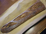 72e0f468.JPG