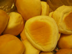 81bbd647.JPG
