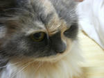 babe4195.JPG