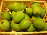 79723e59.JPG