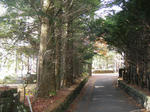 80d9b7d7.JPG