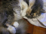 IMGP0992.JPG