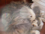 IMGP0902.JPG