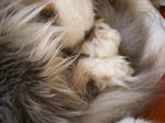 IMGP0904.JPG
