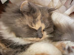 IMGP0905.JPG