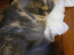 d2115642.JPG