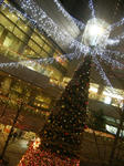 459d6d36.JPG