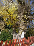 e223d950.JPG