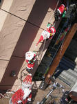 e42822b4.JPG