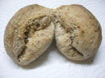 575e488e.JPG