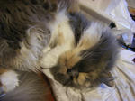 IMGP0991.JPG