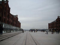 IMGP0393.jpg