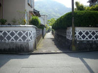 IMGP0600.JPG