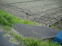 IMGP0649.JPG