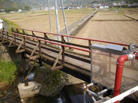 IMGP0657.JPG