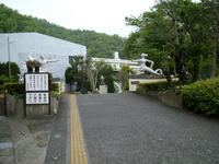 IMGP0720.JPG