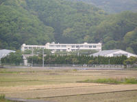 IMGP0730.JPG