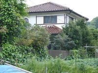IMGP0735.JPG