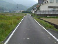 IMGP0738.JPG