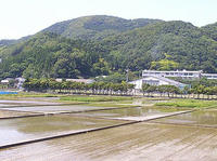 taue.jpg