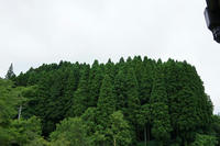 DSC00021a.JPG