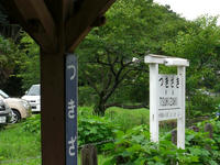 CIMG2354a.JPG