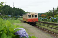 DSC00027a.JPG