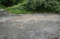 DSC00108a.JPG