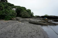DSC00100a.JPG