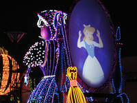 DSC00385.jpg